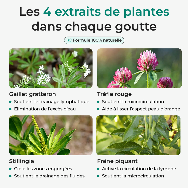 Lynae | Drainant Lymphatique